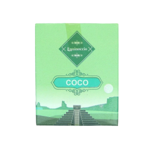 Incienso Equinoccio Cono de Coco