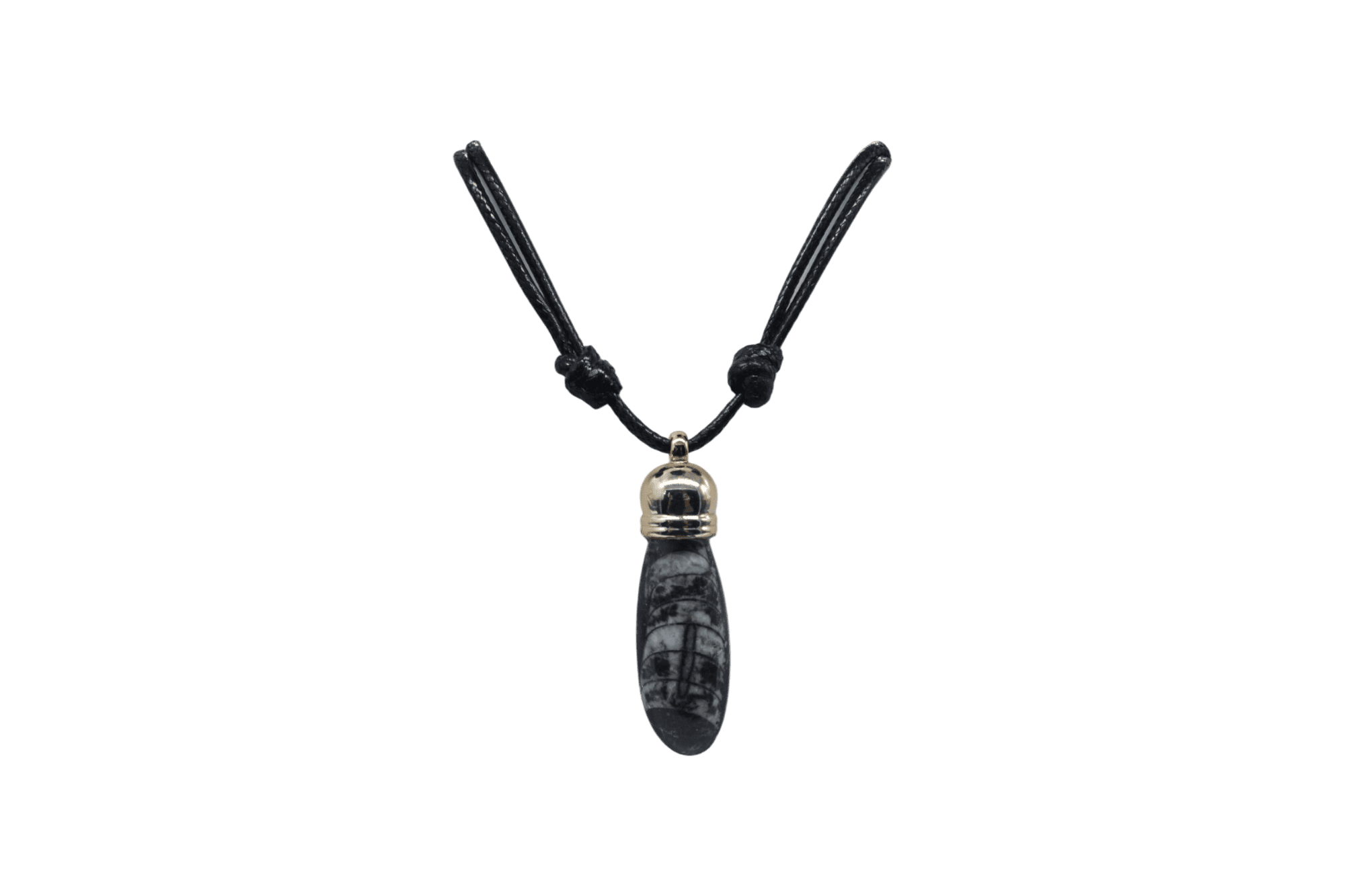 Collar de piedra orthoceras fósil con capuchón dorado