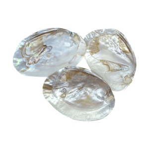 PRODUCTOS DE PERLA MADRE, PERLAS Y CARACOLES DE MAR