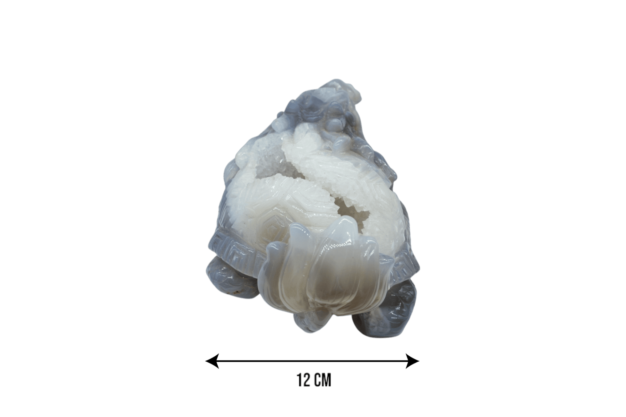 Tortuga dragón de piedra amatista pulida con drusa natural - Imagen 4