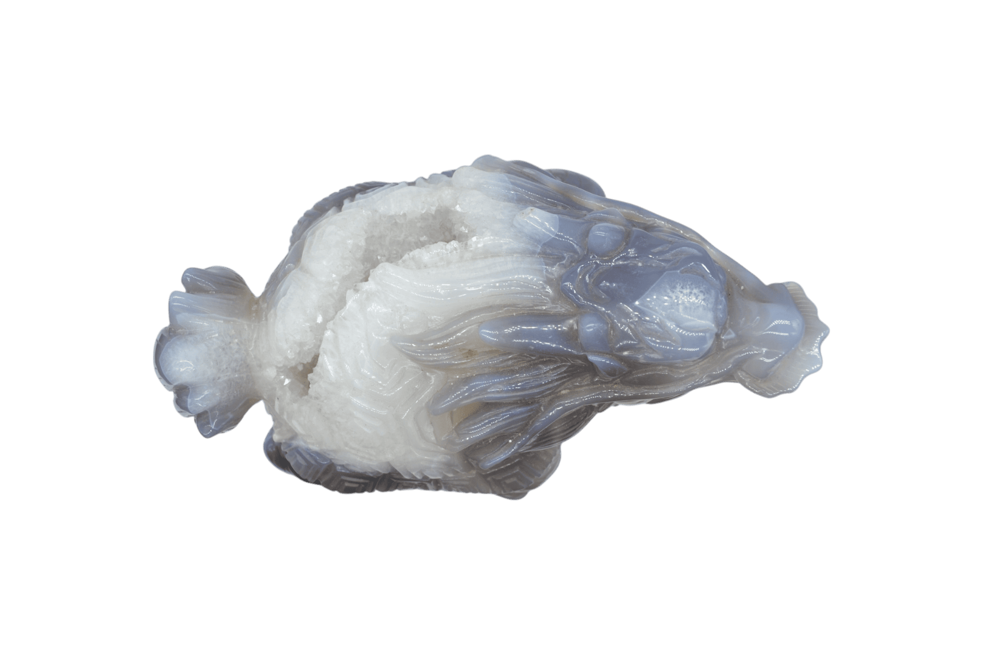 Tortuga dragón de piedra amatista pulida con drusa natural - Imagen 5