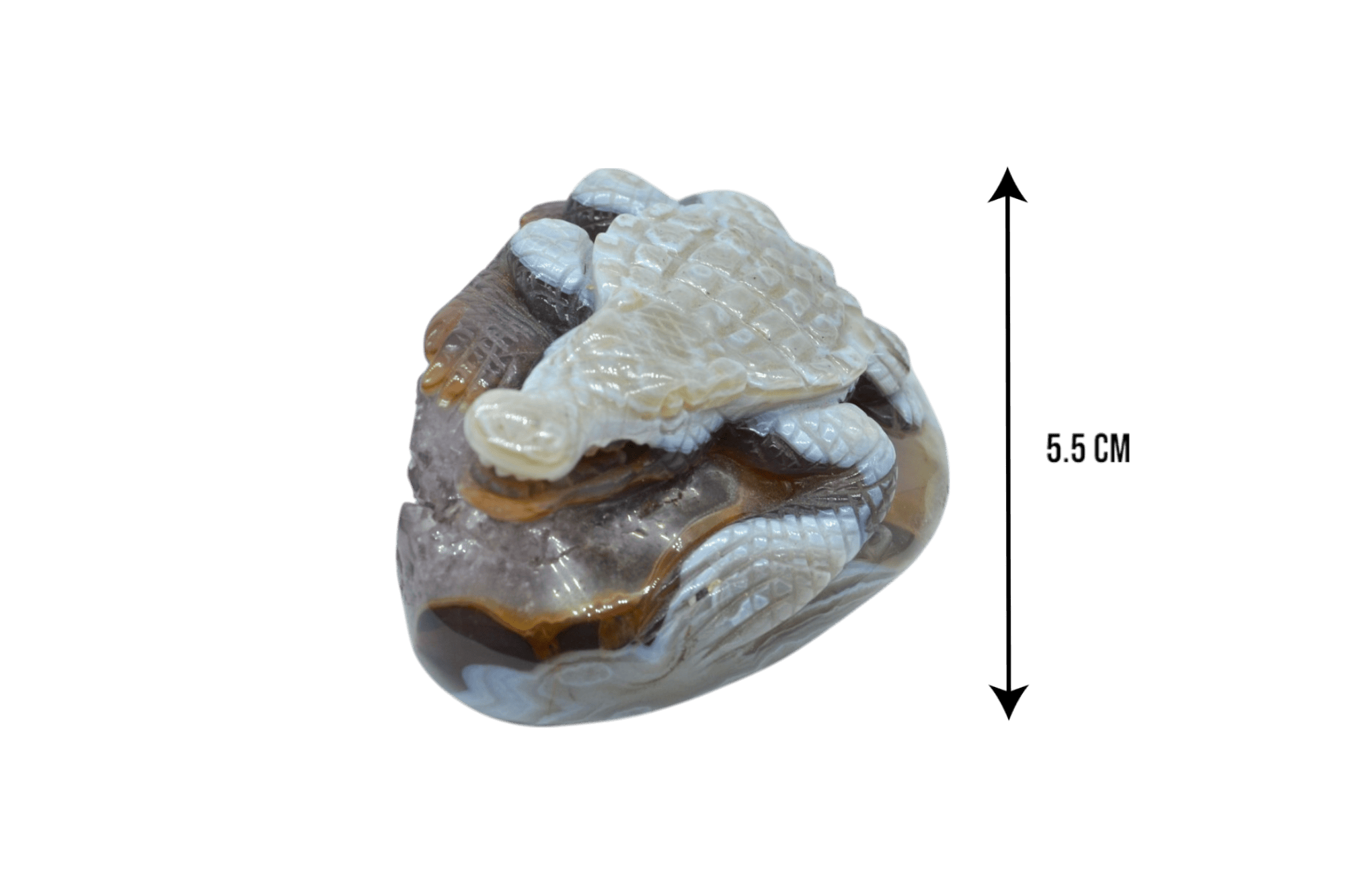 Caimán de piedra amatista pulida con drusa natural - Imagen 4