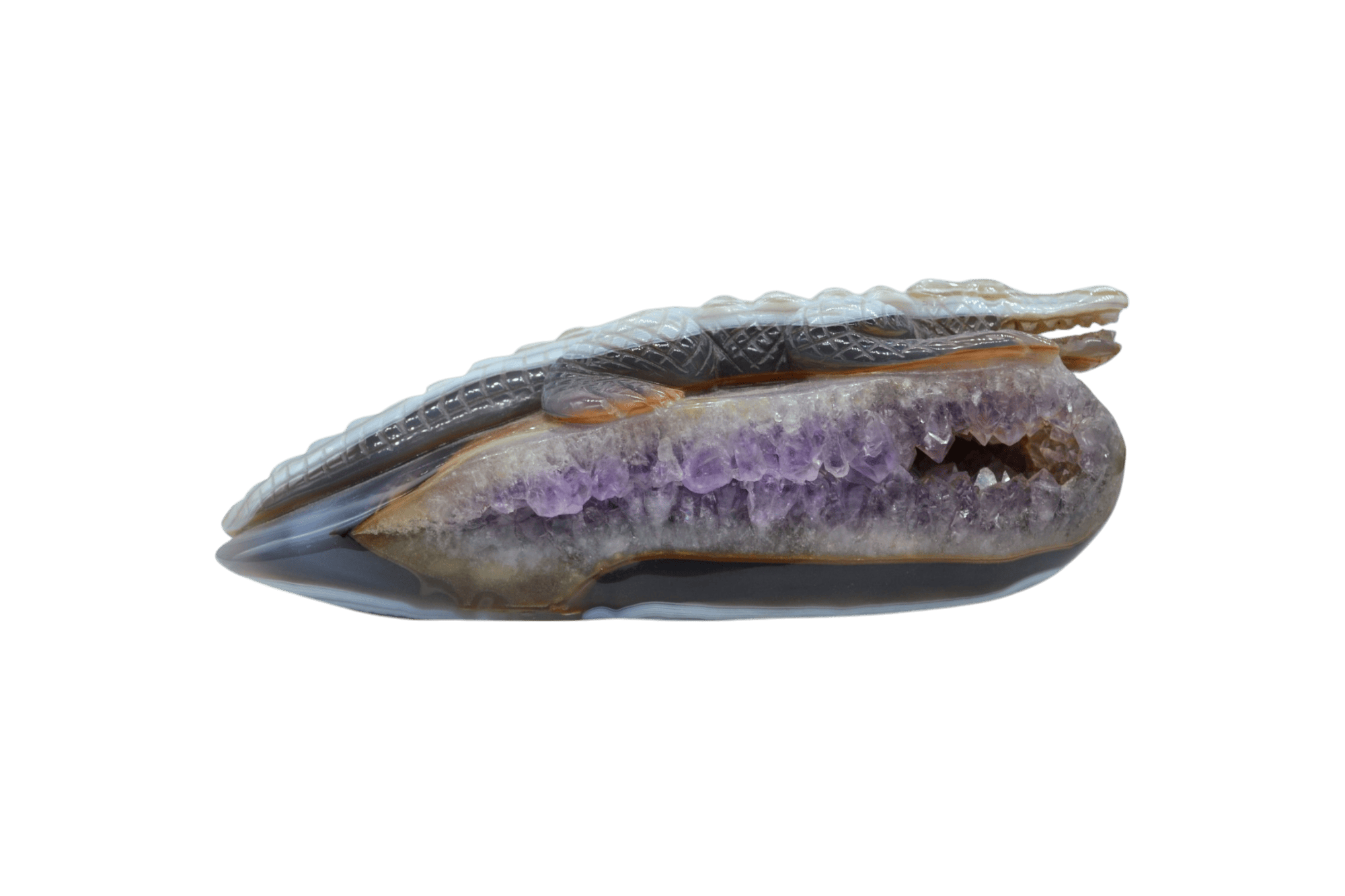 Caimán de piedra amatista pulida con drusa natural