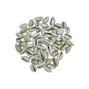 Conchitas de caracol para bisutería con perforación para colgar