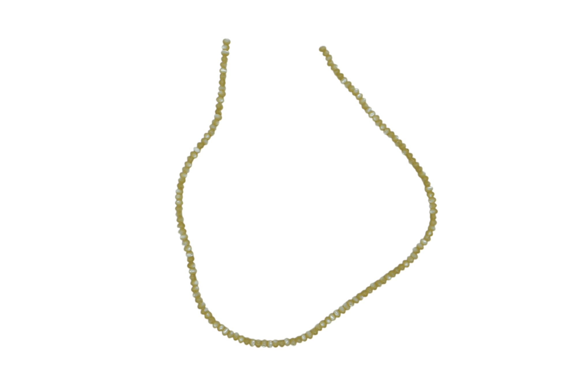 Tira de madre perla en forma de dona | 3mm x 4mm - Imagen 2
